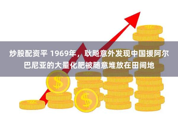炒股配资平 1969年，耿飚意外发现中国援阿尔巴尼亚的大量化肥被随意堆放在田间地